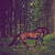 :iconfroz-kiwi:
