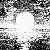 :iconfrozen-owl: