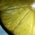 :iconfrozen-sunlight: