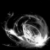 :iconfrozenbutterflies: