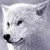 :iconfrozenexperiments: