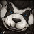 :iconfrozenhammer: