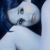 :iconfrozeninvision: