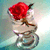 :iconFrozenMotion: