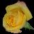 :iconFrozenrose06: