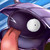 :iconfrozenseashell: