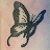 :iconfruba89: