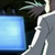 :iconfruitbasket0: