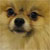 :iconfruitmagnet: