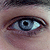 :iconfruitsoflunacy: