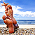 :iconfruity-icons: