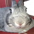 :iconfruityfluff: