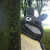 :iconfrustratedfairytale: