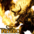 :iconfryerc:
