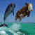 :iconfsbonetti: