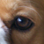 :iconftakke: