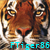 :iconftiger86:
