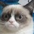 :iconftw2013: