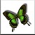 :iconfuannu: