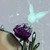 :iconfubar025: