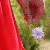 :iconfuel-the-fire: