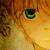 :iconfuguu: