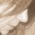 :iconfuilteach-suirioch:
