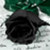 :iconfulldarkness89: