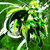 :iconfullmetalalchemist27: