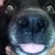 :iconfullmetalbuki:
