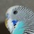 :iconfullmetallov: