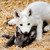 :iconfullmoon3: