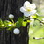 fullmoon95 :iconfullmoon95: