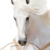 :iconfulminearcobaleno: