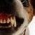 :iconfulsetto: