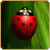 :iconfun-times: