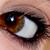 :iconfunk-stoerung:
