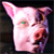 :iconfunkgott: