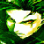:iconfunktasticmo: