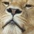 :iconfunky-thor: