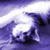 :iconfunkypurplecat: