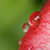 :iconfunny-love: