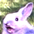 :iconfunnybunny514: