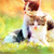 :iconfunnygirl95: