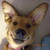 :iconfunworld4: