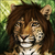 FuranIrcas :iconfuranircas: