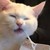 :iconfurfag-starreh: