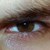 :iconfurfui: