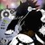 :iconfurfurwolf: