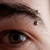 :iconfuriouss: